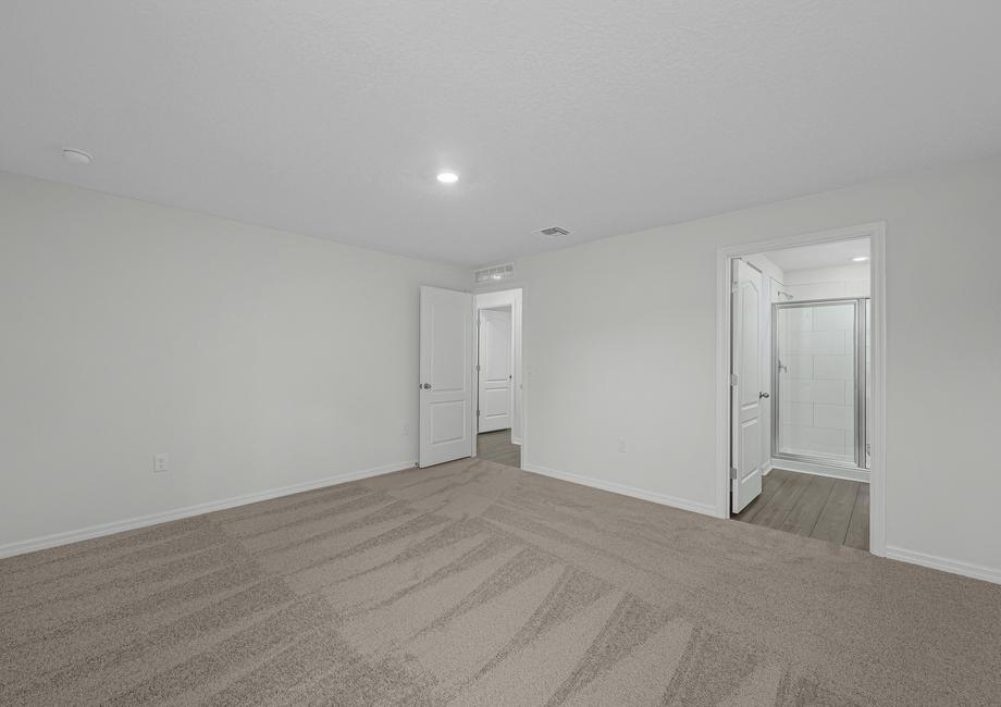 The master bedroom is spacious and has a walk in closet and bathroom attached