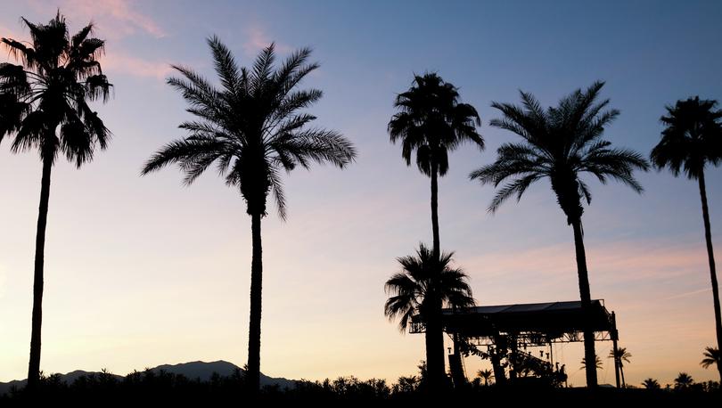 Sunset behind a row of palm trees with a concert stage set up and ready for the show at the Empire Polo Grounds in Indio, CA.