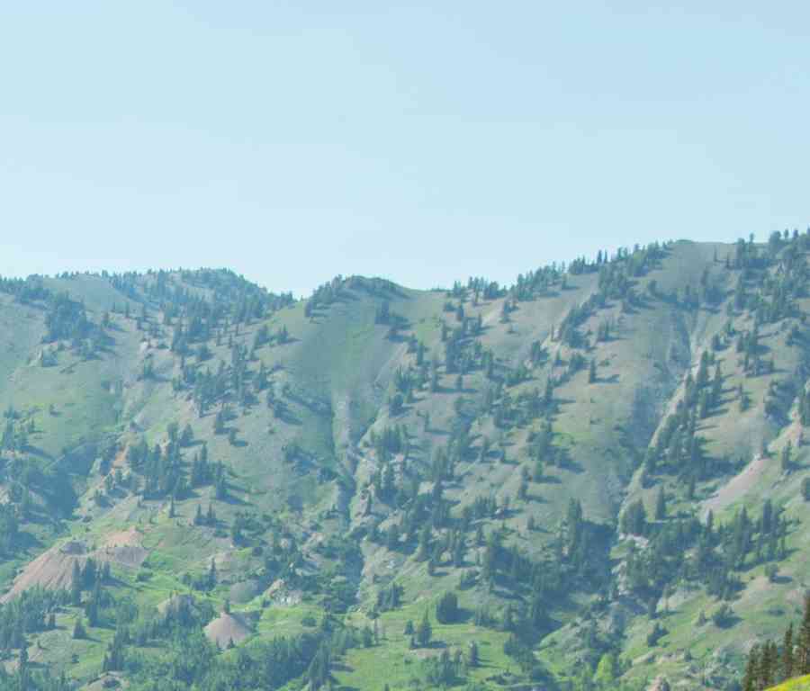 A girl hiking in the Wasatch Mountains in Utah.