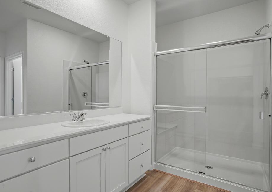 Walk-in shower and dual sink vanity