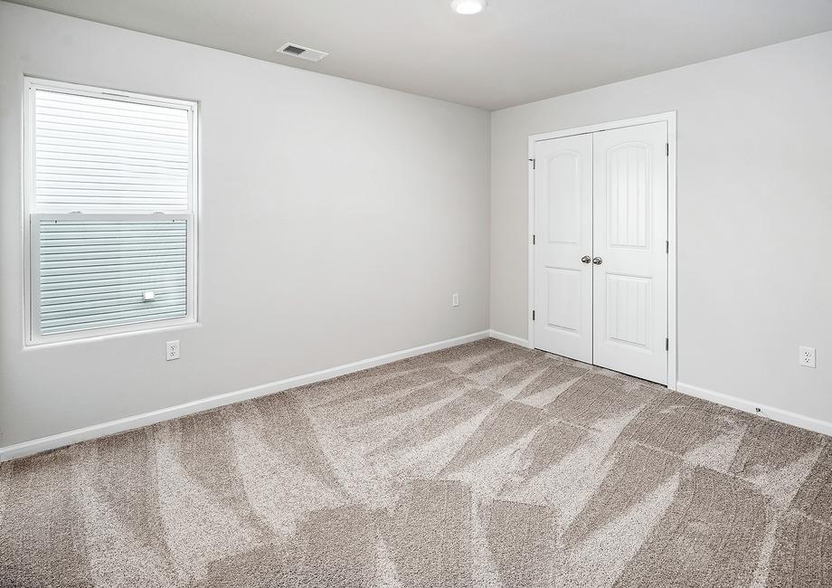 Secondary bedroom with carpet and a window.