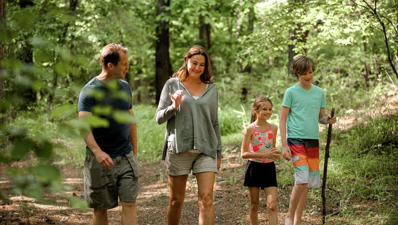 A family of four walking down a path in the woods