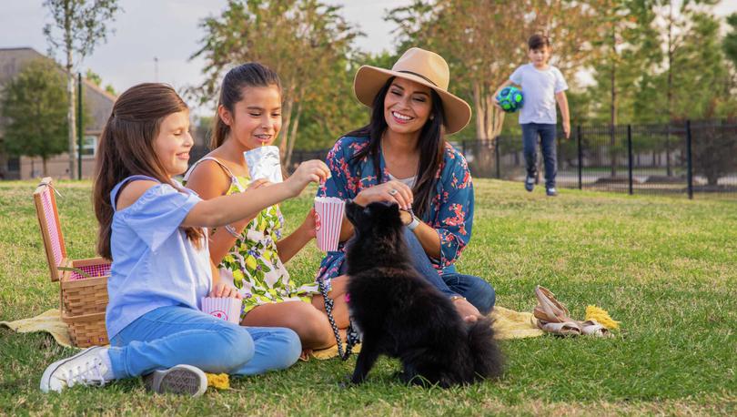 Mom, daughters and dog having a picnic in the park
