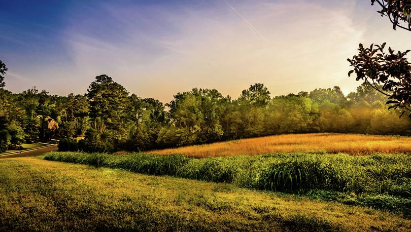 North Carolina meadows near Durham showing rolling tree-lined hills, green grass, and sun setting in the background