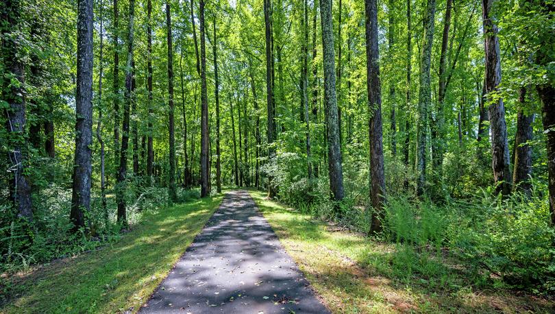 Enjoy a paved walking trail through the woods