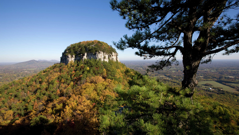 State Park Pilot Mountain, Winston-Salem mound covered in trees and bushes