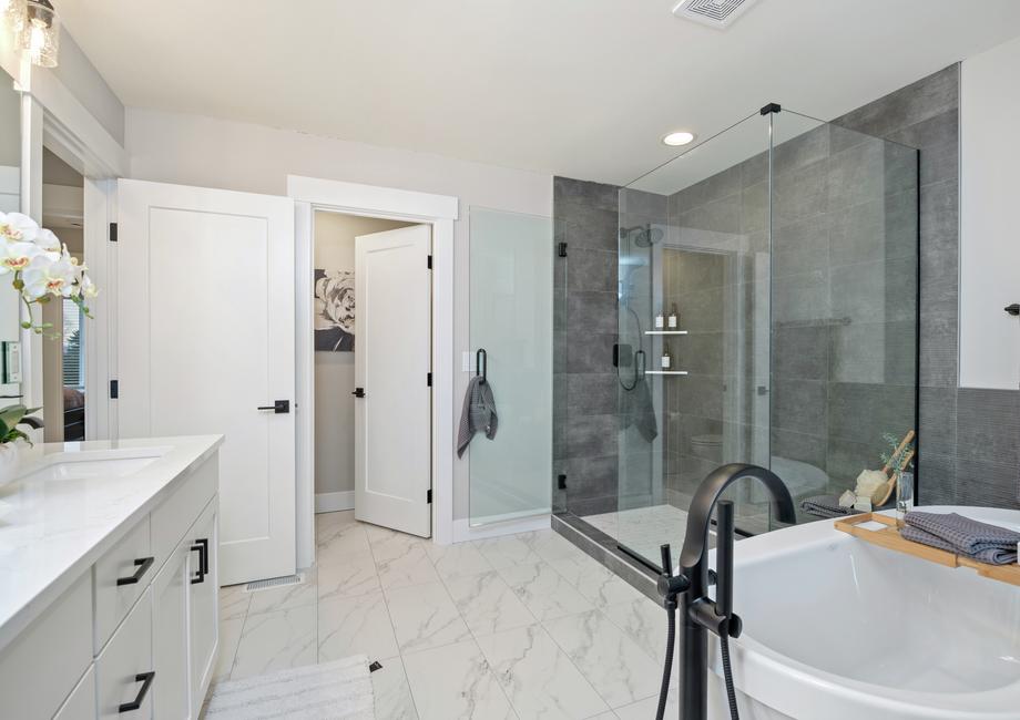 Master bath with an impressive walk-in shower.