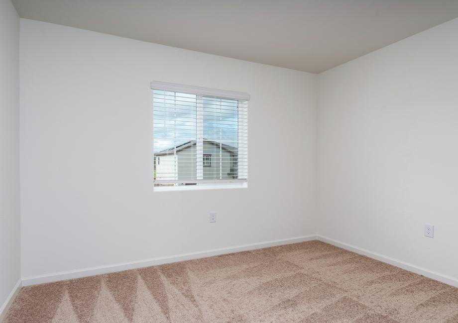 The secondary bedrooms have carpet.