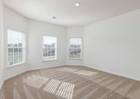 Master bedroom with four windows and carpet.