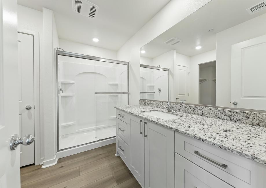 The master bathroom has a large vanity and step in shower. 