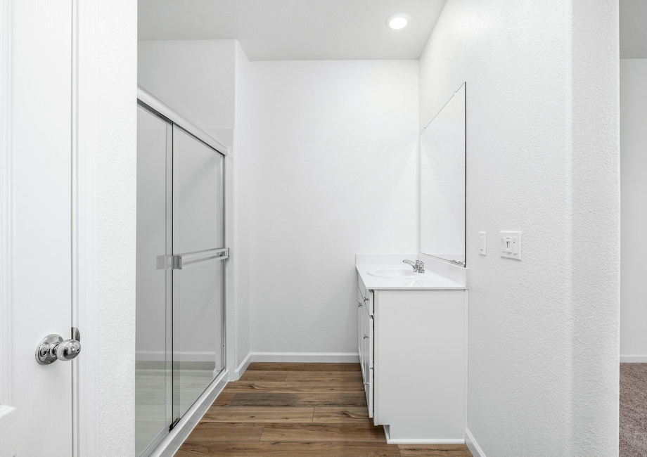 The master bathroom has a step in shower and large vanity.