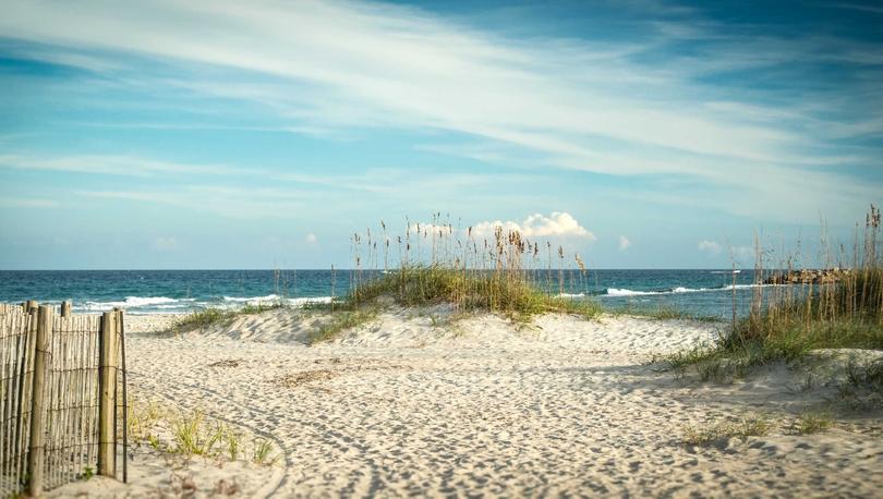 Wrightsville Beach, North Carolina sandy dunes on the beach with plants, ocean water, and sand