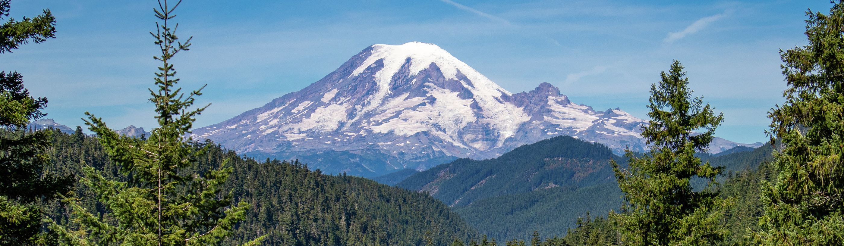 Mount Rainier National Park in the state of Washington in summer.