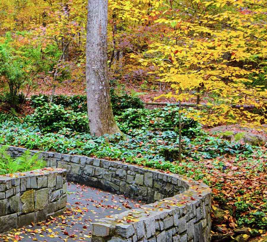 Athens, Georgia Botanical gardens Fall Trail with leaves on the ground, yellow and orange color leafed trees, and stone bridge walkway