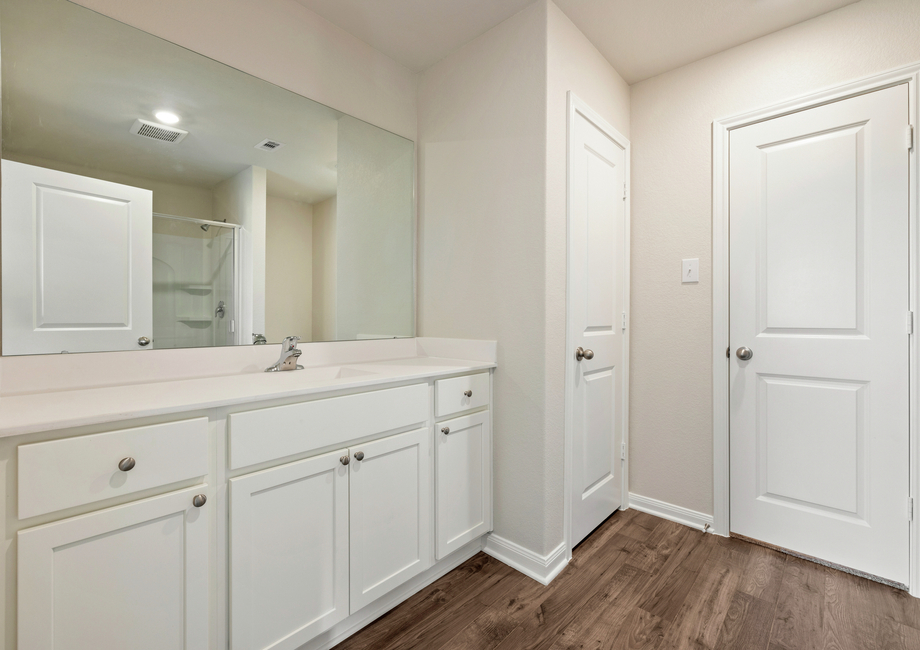 Master bathroom with spacious vanity 