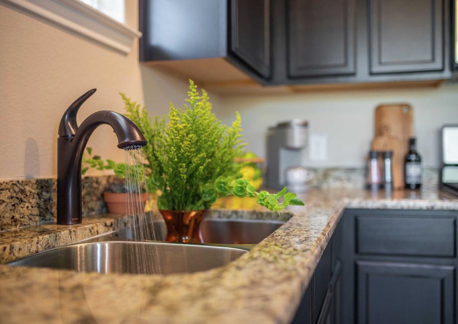 Blanco kitchen staged with plant in the sink, coffee maker, and salt and pepper shaker sitting on the brown granite stone counter