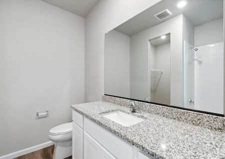 The guest bath has a large vanity.