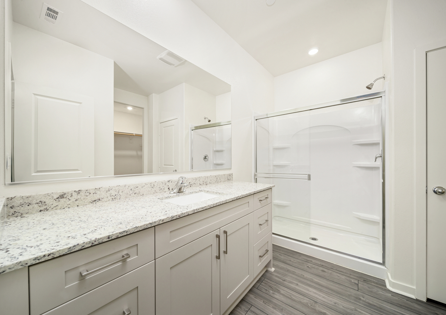 The master bathroom has a large vanity and a step in shower.