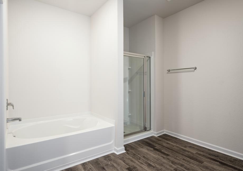 The master bathroom includes a bath tub and walk-in shower