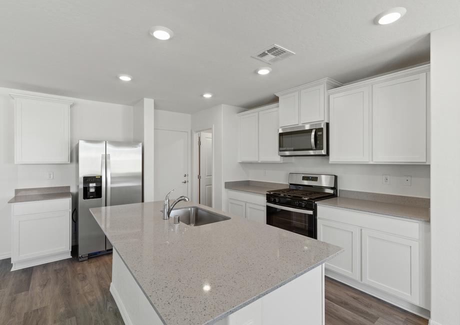 The chef ready kitchen has stainless steel appliances and plank flooring.
