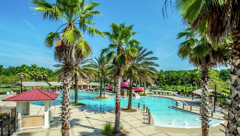 Palm trees and beach entry pool at Rolling Hills