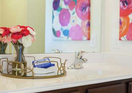 Bathroom in model home staged with white and red carnations and towels on a gold trim tray and a painting in the mirror's reflection