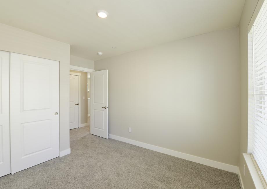 The secondary bedroom has carpet.