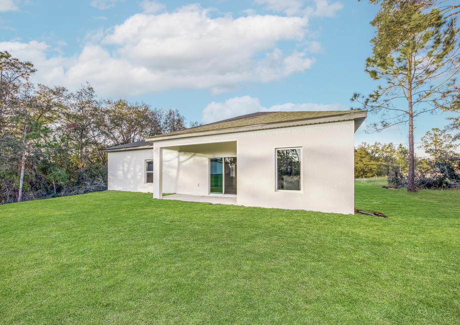 Back covered patio and a spacious yard