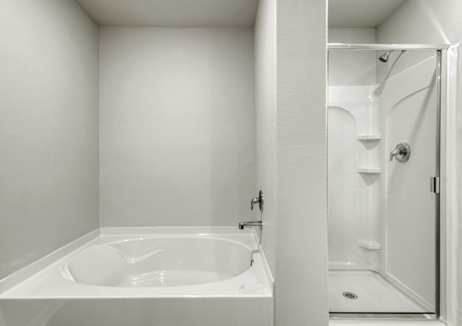 Step-in shower and separate tub in the master bathroom