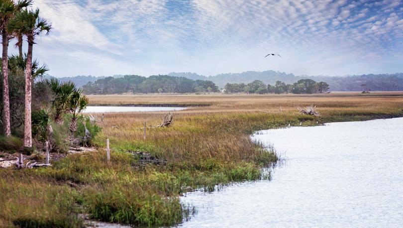 Jacksonville, Florida Timucuan Ecological & Historic Preserve with a bird in flight, palm trees, and calm waters