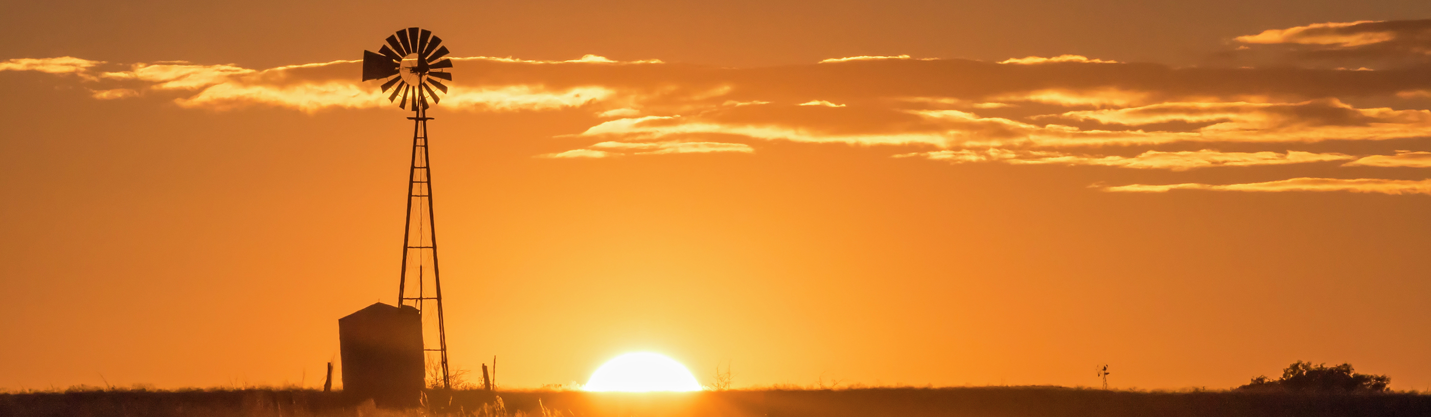Field with sun rising