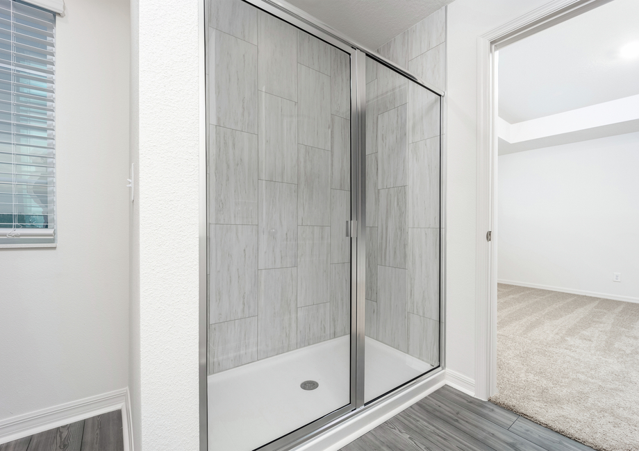 Step-in shower in he master bathroom