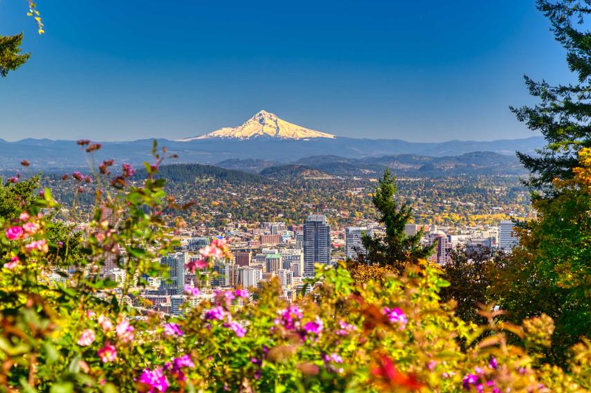 Portland, Oregon skyline showing lush flowering plants, skyscraper buildings, and Mt. Hood in the distance