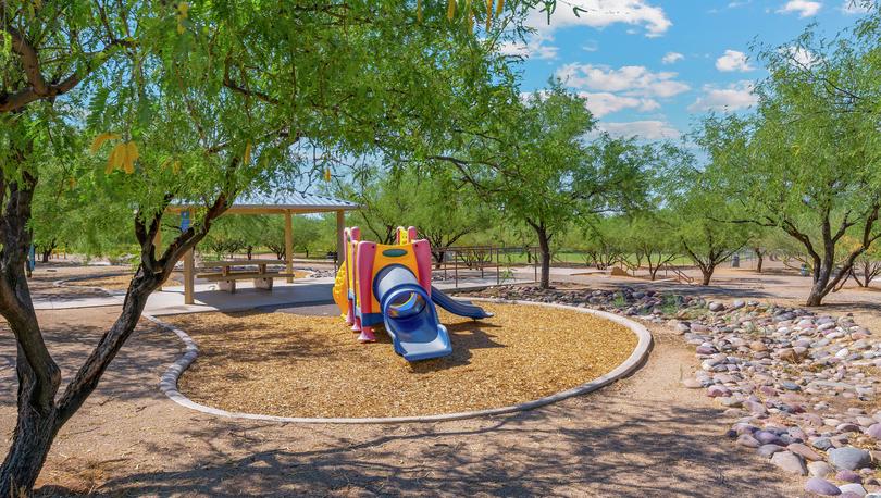 Playground and picnic areas at Star Valley