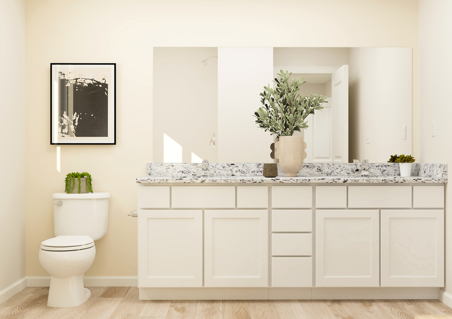 Rendering of master bathroom