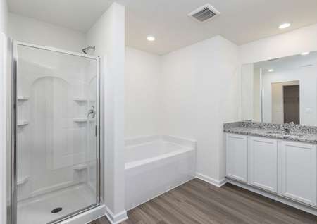 Master bath with a walk-in shower and tub.