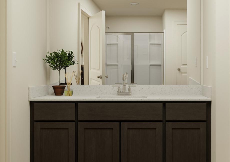 Rendering of the owner's bathroom featuring a dark wood vanity and dÃ©cor.