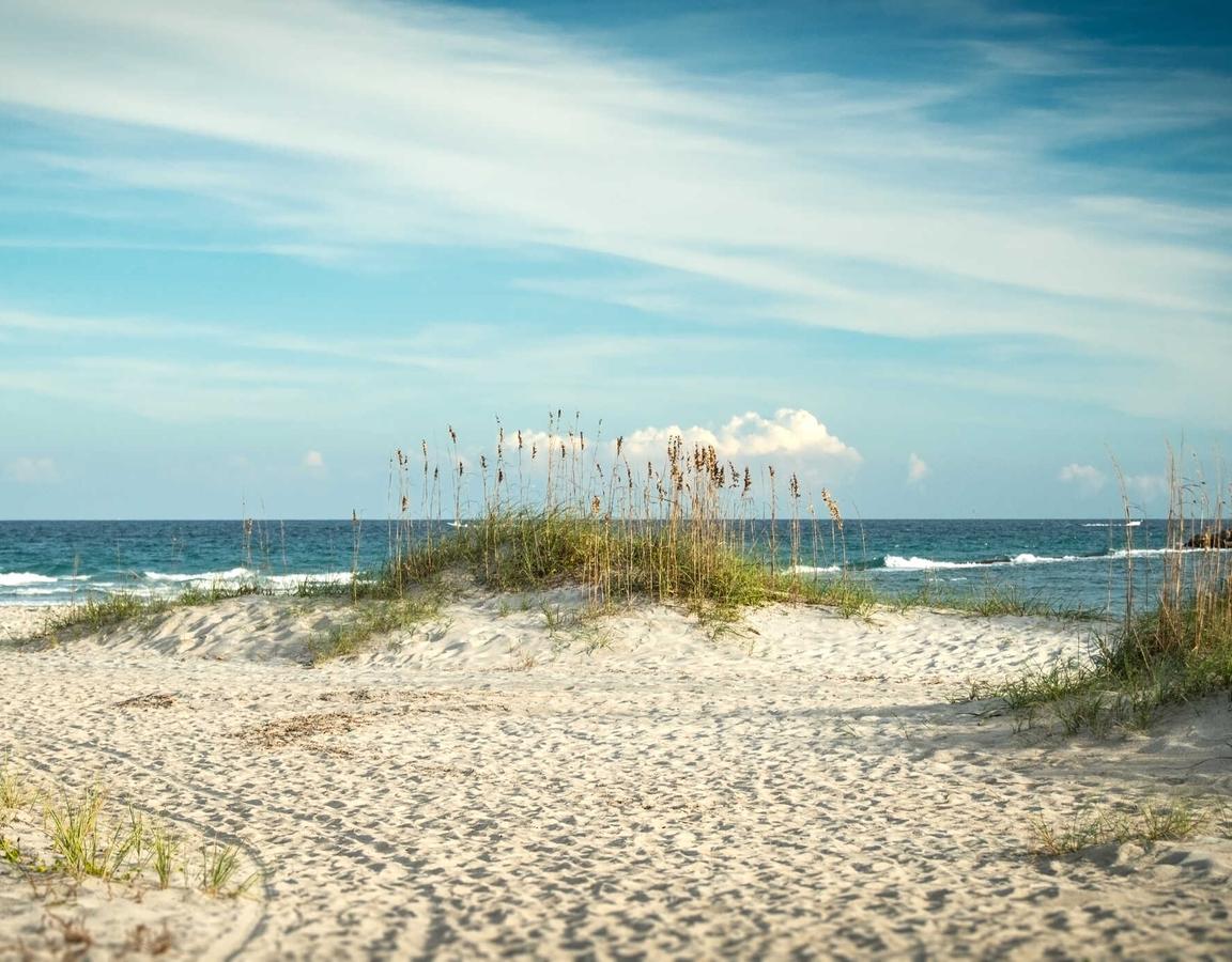 Wrightsville Beach, North Carolina sandy dunes on the beach with plants, ocean water, and sand