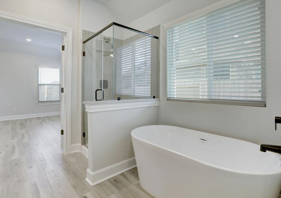 Master bathroom with a walk-in shower and soaking tub.