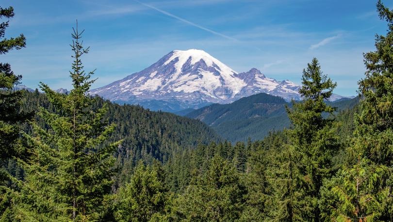 Mount Rainier National Park in the state of Washington in summer.