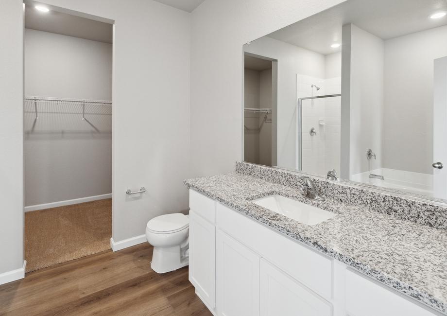 Master bathroom with white cabinets and an attached walk-in closet.