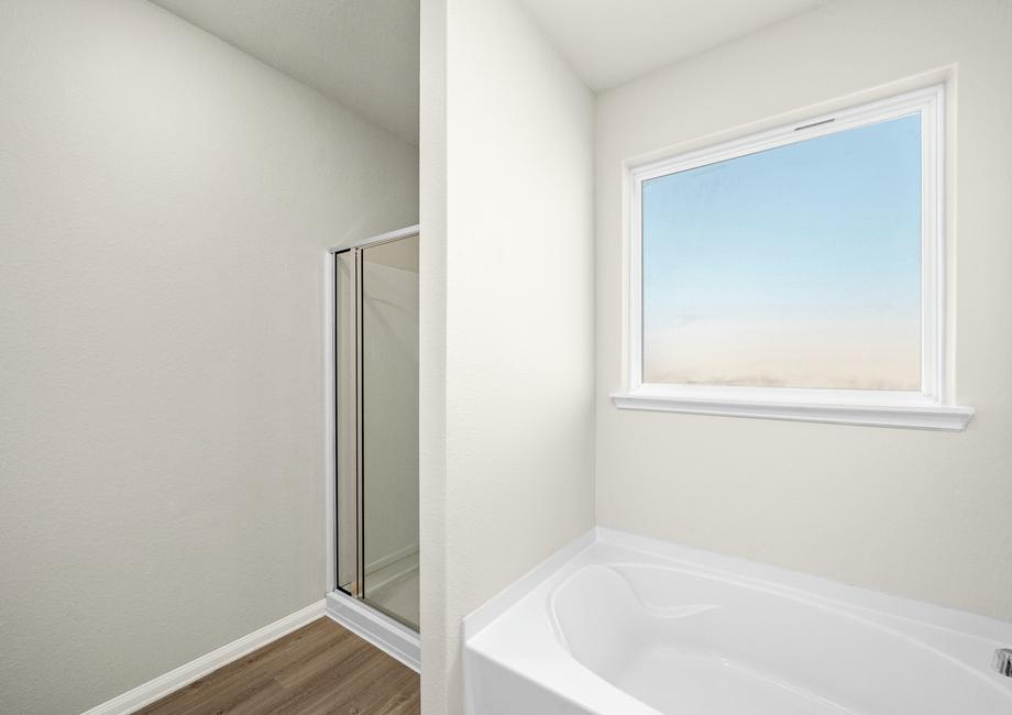 The master bathroom has a step-in shower and tub