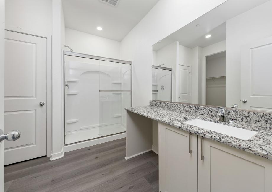 The master bathroom has a vanity and step in shower.