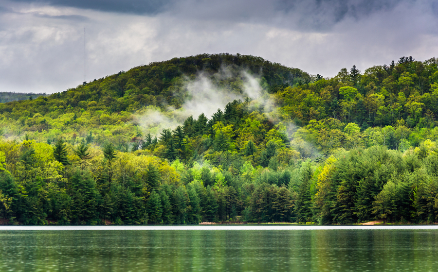 Clearing fog over mountains at Long Pine Run Reservoir, Michaux.