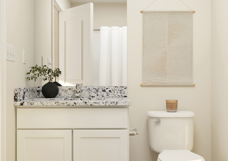 Rendering of a
  master bathroom showing a single-sink vanity next to a toilet.Â 