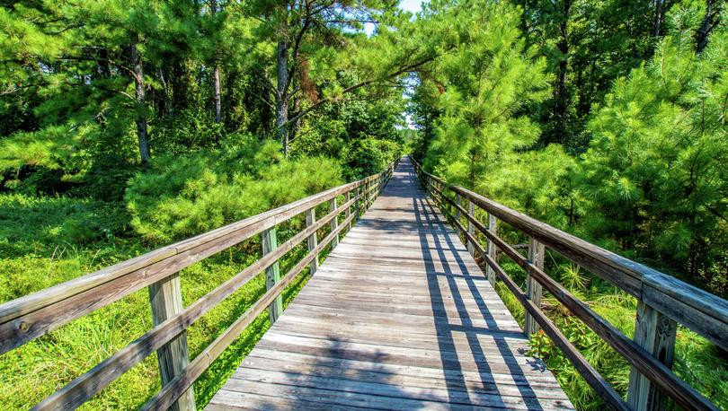 Walking path at Rolling Hills