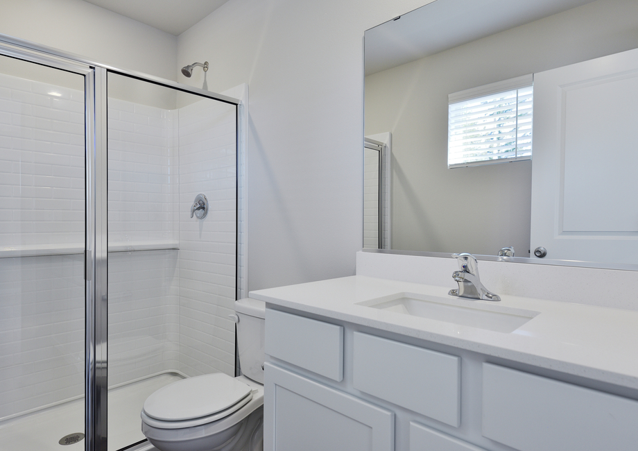 The master bathroom has a step in shower.