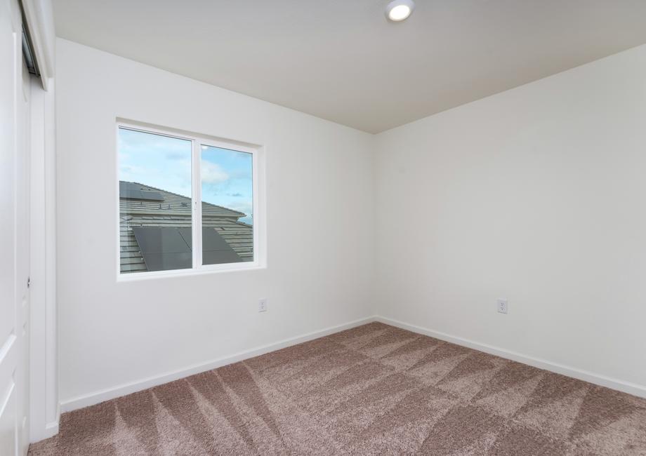 The secondary bedrooms have carpet.