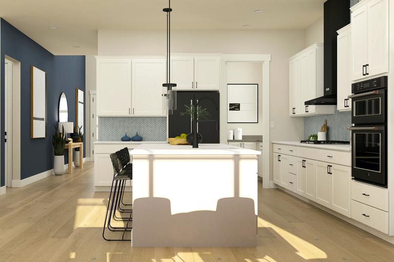 Rendering of kitchen with white cabinetry
  and stainless steel appliances. The foyer can be seen down a hall next to the
  kitchen.Â 