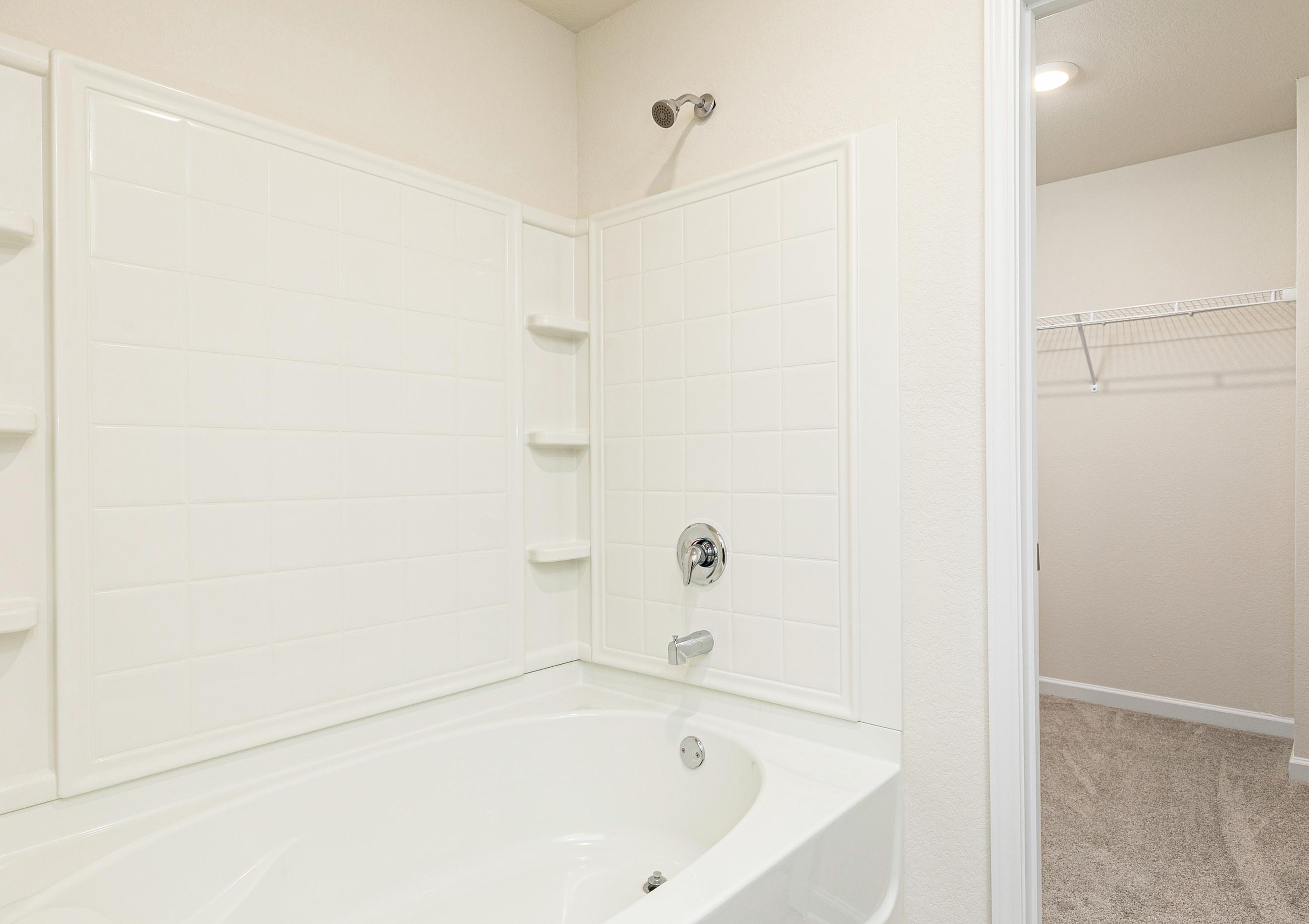 The master bathroom comes with a separate shower and bathtub